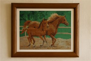 Photograph of product.